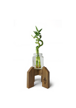 Load image into Gallery viewer, Pot Plant Stand