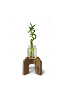 Pot Plant Stand